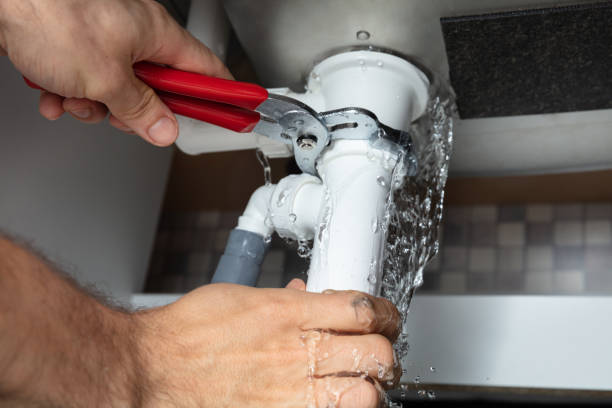 Best Professional water damage repair  in Randleman, NC