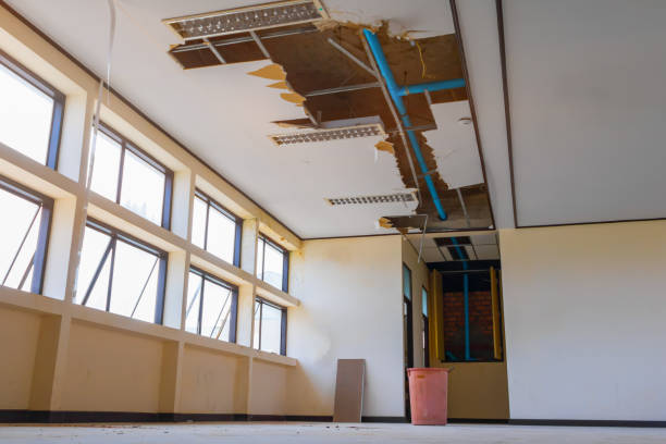 Best 24-hour water damage restoration  in Randleman, NC