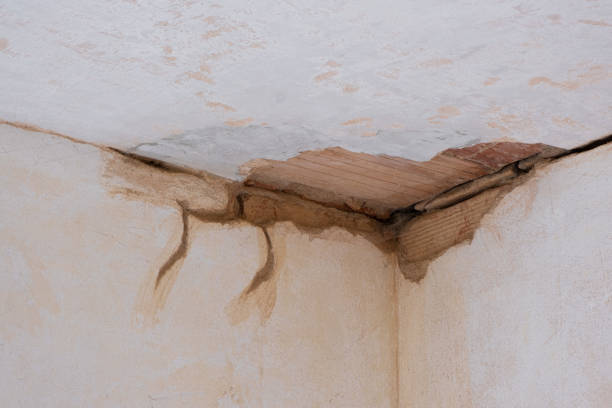 Best Water damage cleanup near me  in Randleman, NC
