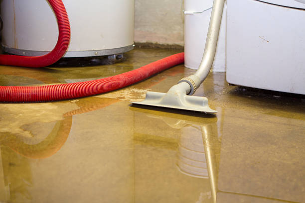 Best 24-hour water damage restoration  in Randleman, NC