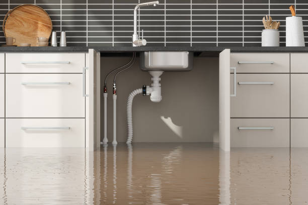 Best Flood damage cleanup  in Randleman, NC